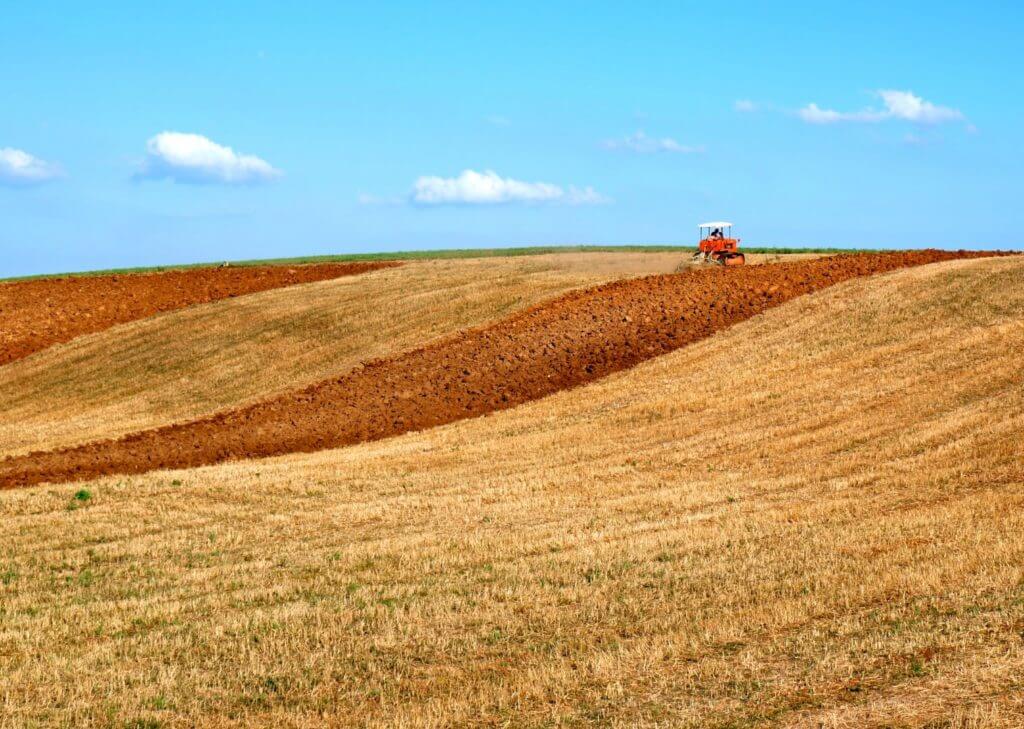 paesaggio-coltivato-cielo-azzurro (Grande)