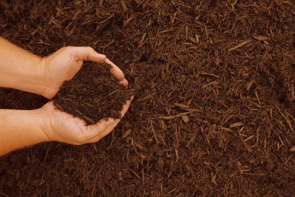 compost-con mani