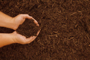 compost-con mani