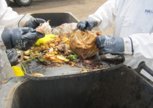 Carta e Compost