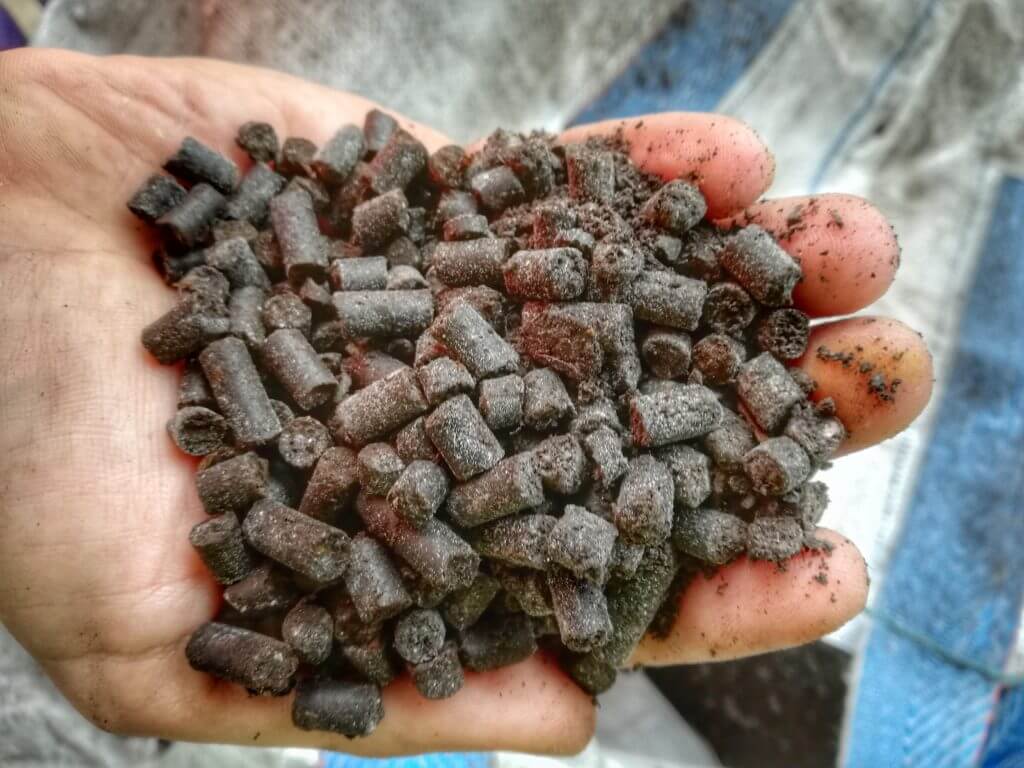 Compost-pellettizzato