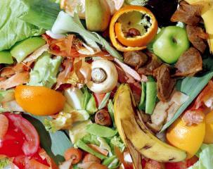 kitchen waste