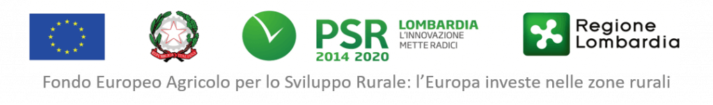 Logo Regione Lombardia ENTE FINANZIATORE