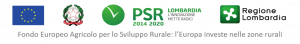Logo Regione Lombardia ENTE FINANZIATORE