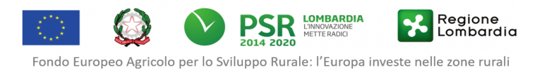 Logo Regione Lombardia ENTE FINANZIATORE