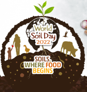 Logo generico World Soil Day