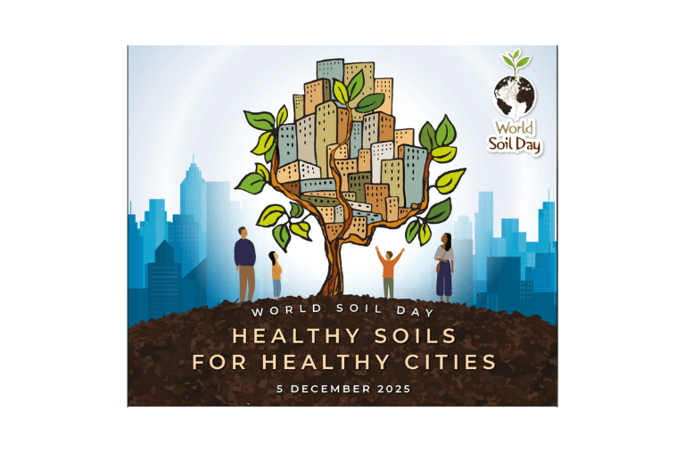 World Soil Day 2025 - home