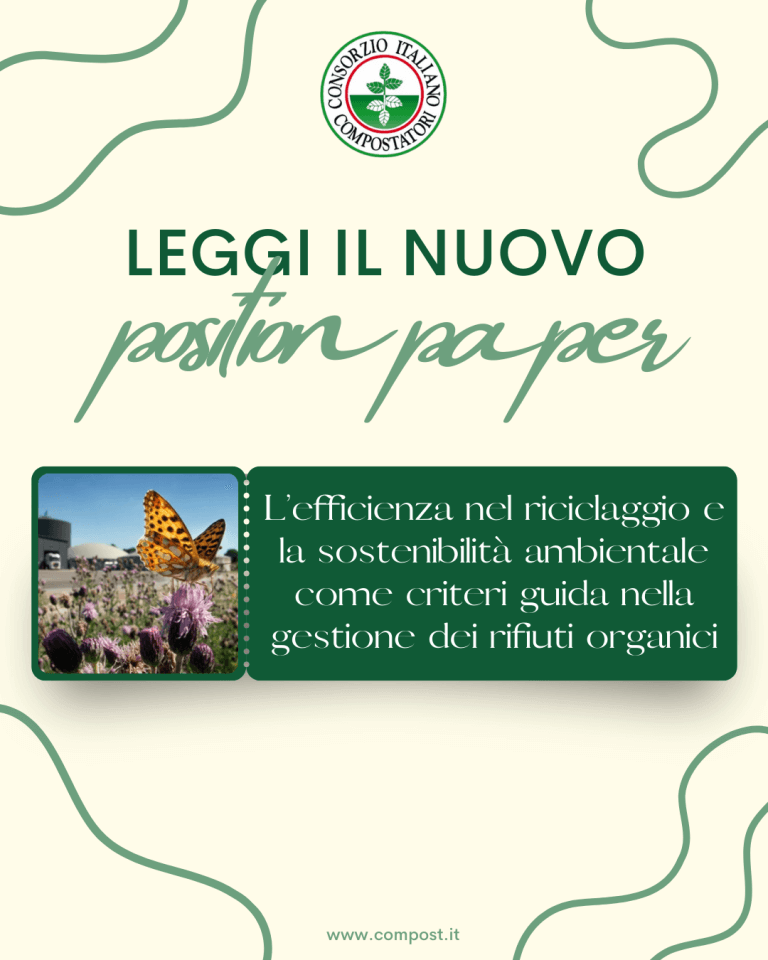 position paper CIC novembre 2025