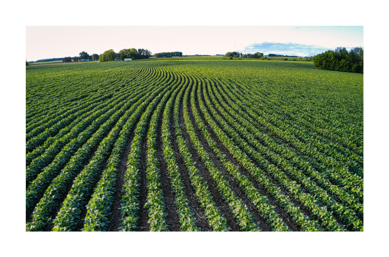 Fertiliser Action Plan - home