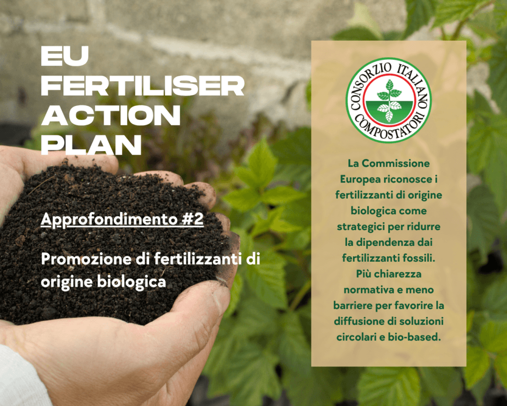 Articolo Sito Fertiliser Action Plan #2