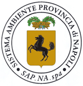 Sapna logo